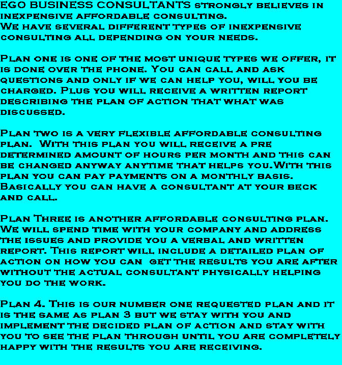 ego_business_consultants_jan_2009006006.jpg